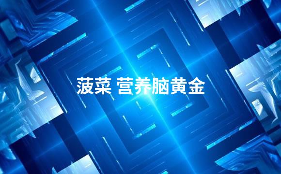 菠菜 营养脑黄金